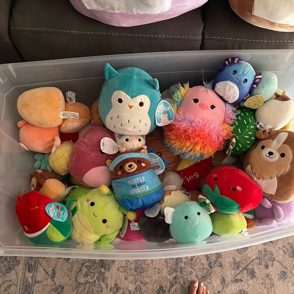Squishmallow lot